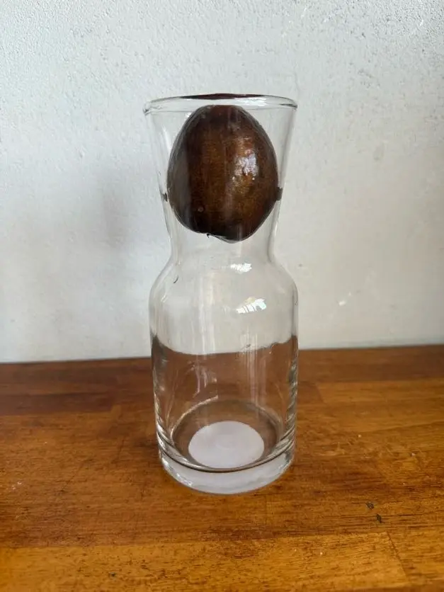 Paltero de vidrio